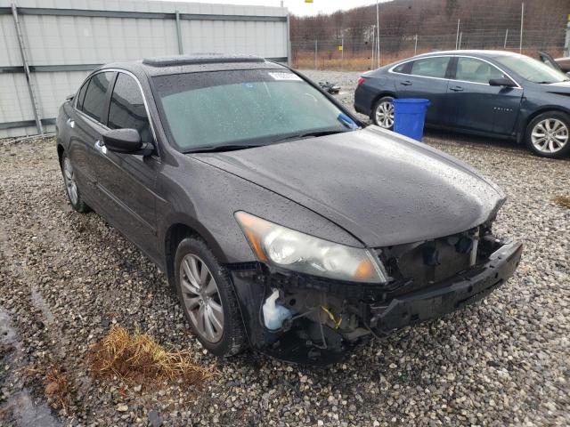 HONDA ACCORD EXL 2011 1hgcp3f80ba006984