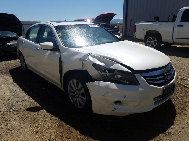 HONDA ACCORD EXL 2011 1hgcp3f80ba008234