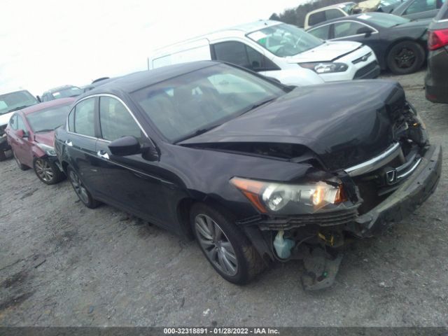 HONDA ACCORD SDN 2011 1hgcp3f80ba009190