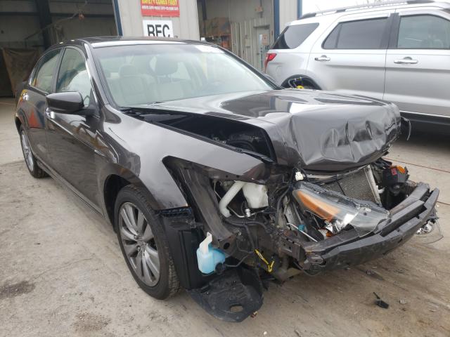 HONDA ACCORD EXL 2011 1hgcp3f80ba009738