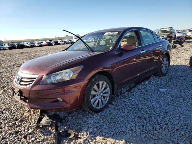 HONDA ACCORD 2011 1hgcp3f80ba010243