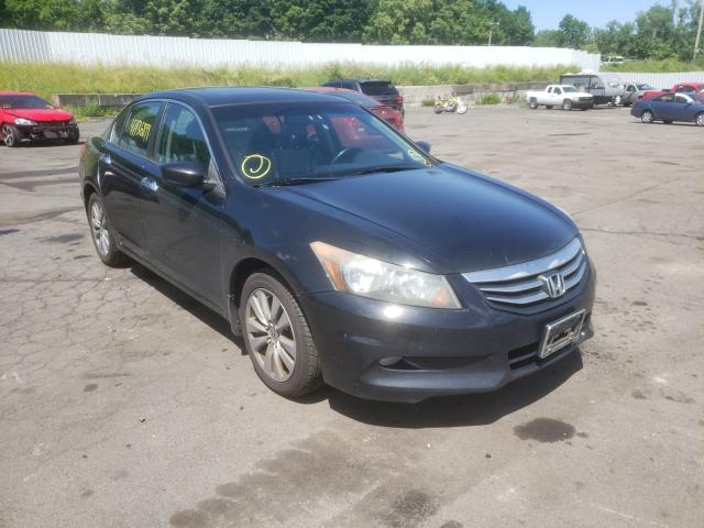 HONDA ACCORD EXL 2011 1hgcp3f80ba011215