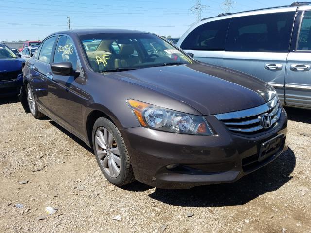 HONDA ACCORD EXL 2011 1hgcp3f80ba013109