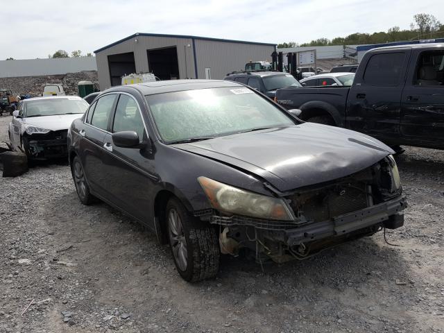 HONDA ACCORD EXL 2011 1hgcp3f80ba013448