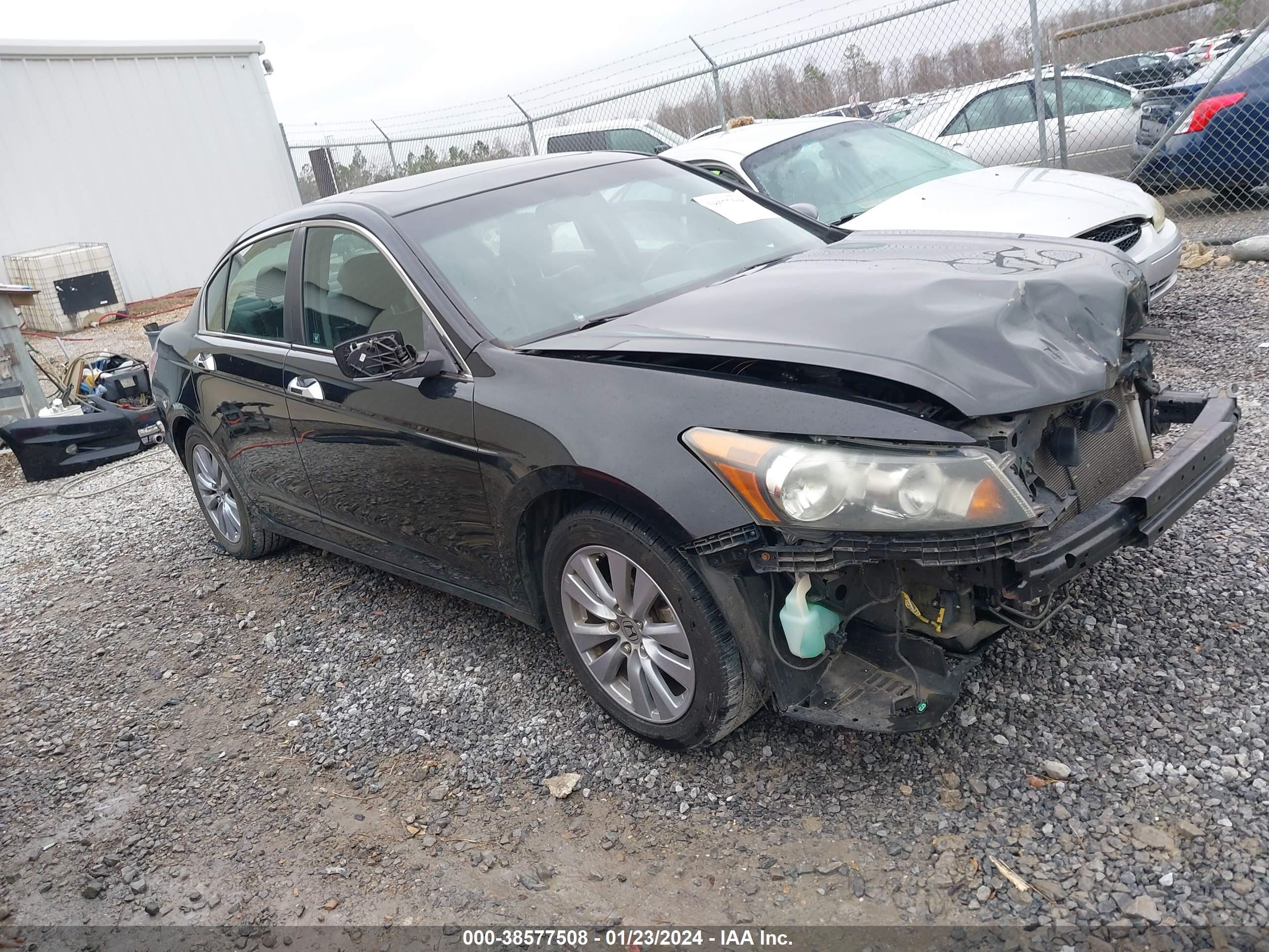 HONDA ACCORD 2011 1hgcp3f80ba016530