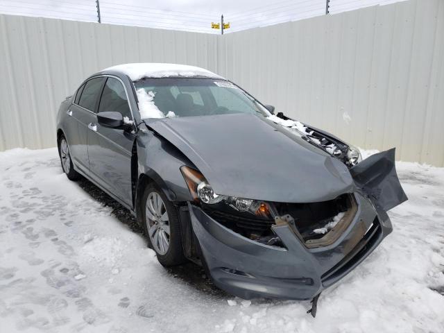 HONDA ACCORD EXL 2011 1hgcp3f80ba017726