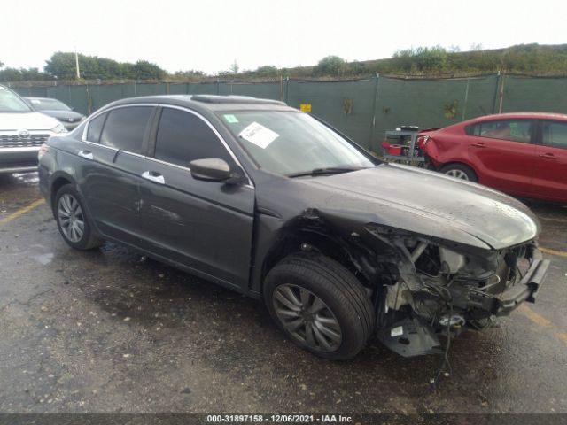 HONDA ACCORD 2011 1hgcp3f80ba019217