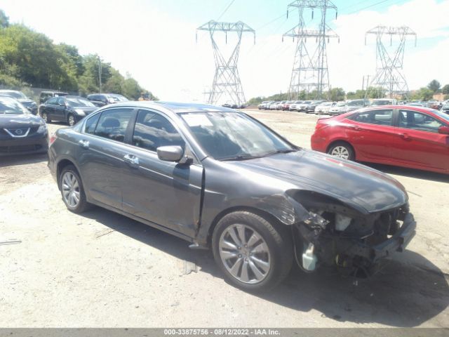 HONDA ACCORD SDN 2011 1hgcp3f80ba020352