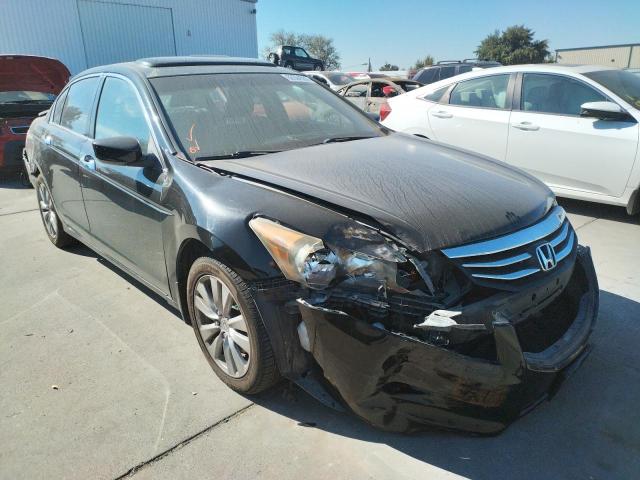 HONDA ACCORD EXL 2011 1hgcp3f80ba020416