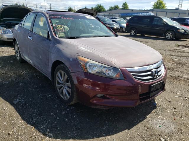 HONDA ACCORD EXL 2011 1hgcp3f80ba021629