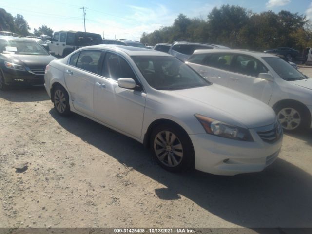 HONDA ACCORD SDN 2011 1hgcp3f80ba025180