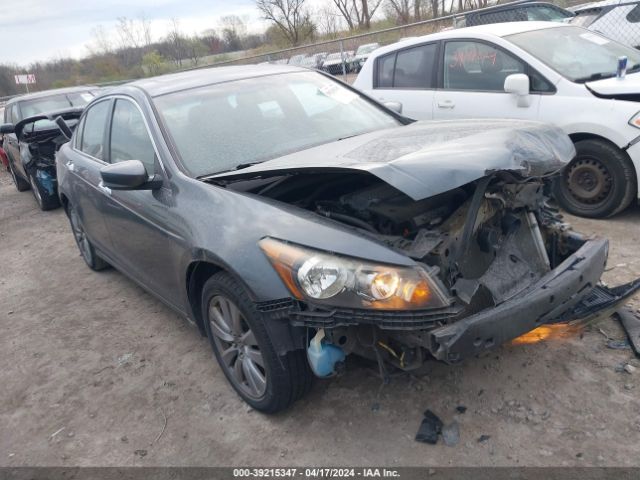 HONDA ACCORD 2011 1hgcp3f80ba026555