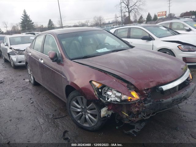 HONDA ACCORD 2011 1hgcp3f80ba028645