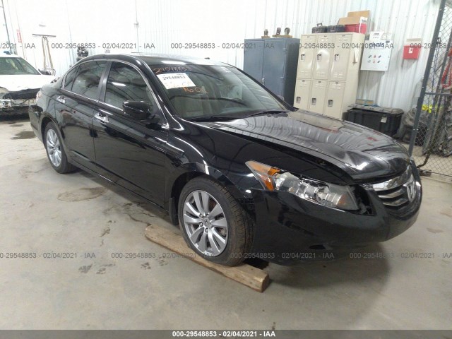 HONDA ACCORD SDN 2011 1hgcp3f80ba029035