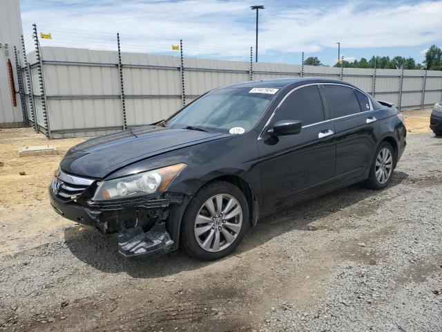 HONDA ACCORD EXL 2011 1hgcp3f80ba032016