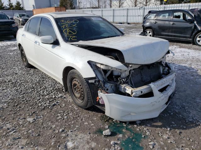 HONDA ACCORD EXL 2011 1hgcp3f80ba800898