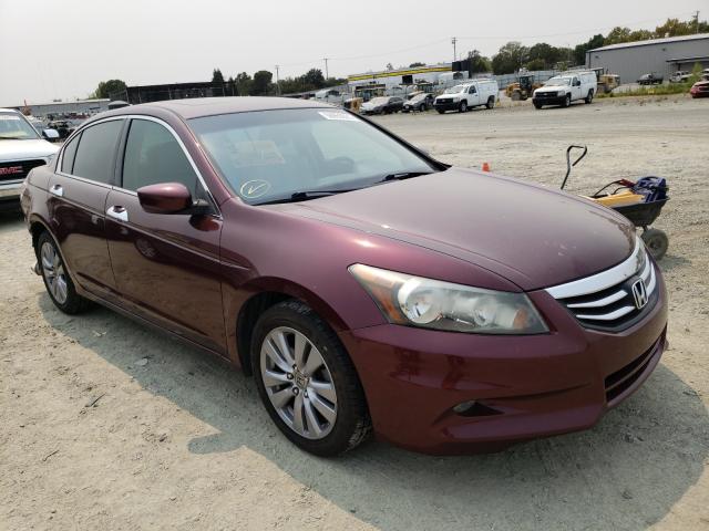 HONDA ACCORD EXL 2012 1hgcp3f80ca011717