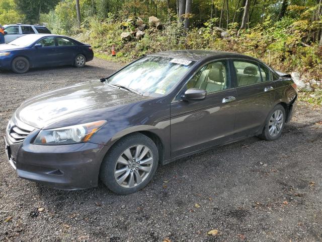 HONDA ACCORD EXL 2012 1hgcp3f80ca021230