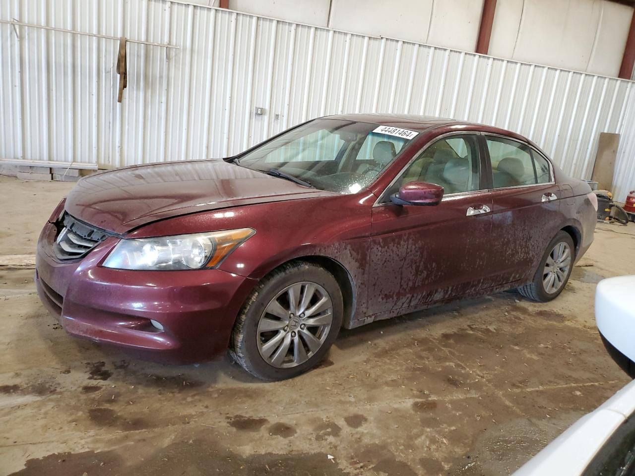 HONDA ACCORD 2012 1hgcp3f80ca035564