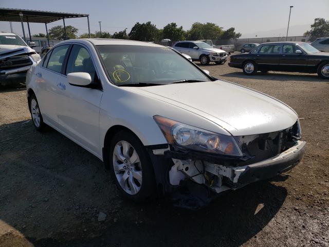 HONDA ACCORD EXL 2010 1hgcp3f81aa002277