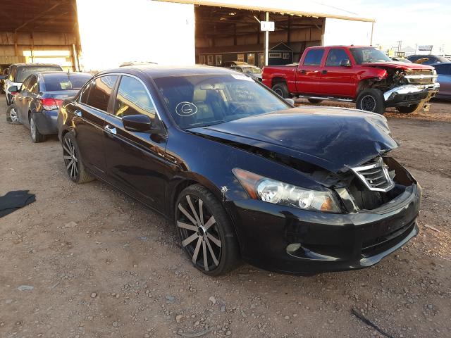 HONDA ACCORD EXL 2010 1hgcp3f81aa002652