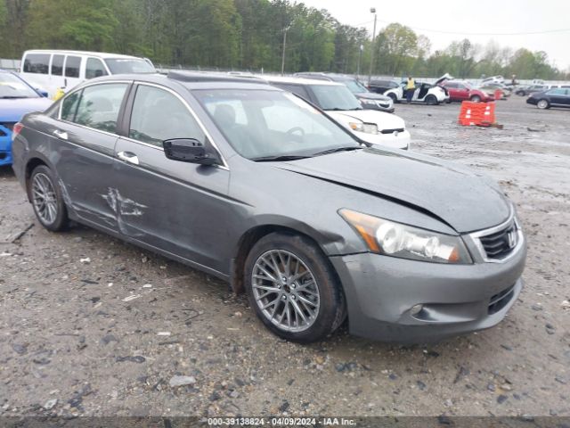 HONDA ACCORD 2010 1hgcp3f81aa004496