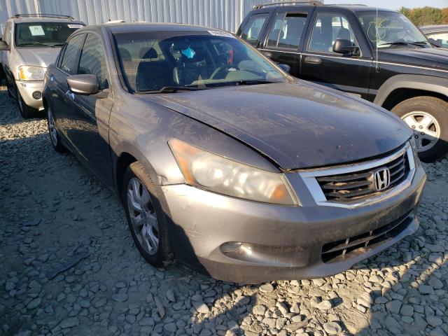 HONDA ACCORD EXL 2010 1hgcp3f81aa005700