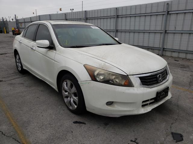 HONDA ACCORD EXL 2010 1hgcp3f81aa007074