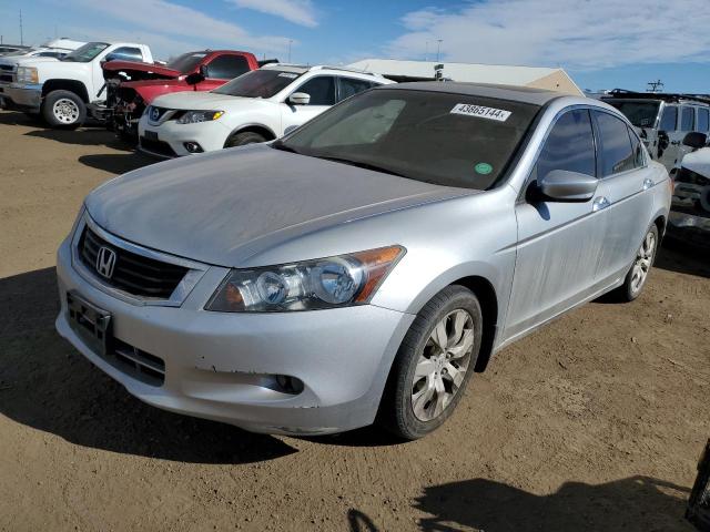 HONDA ACCORD 2010 1hgcp3f81aa008144