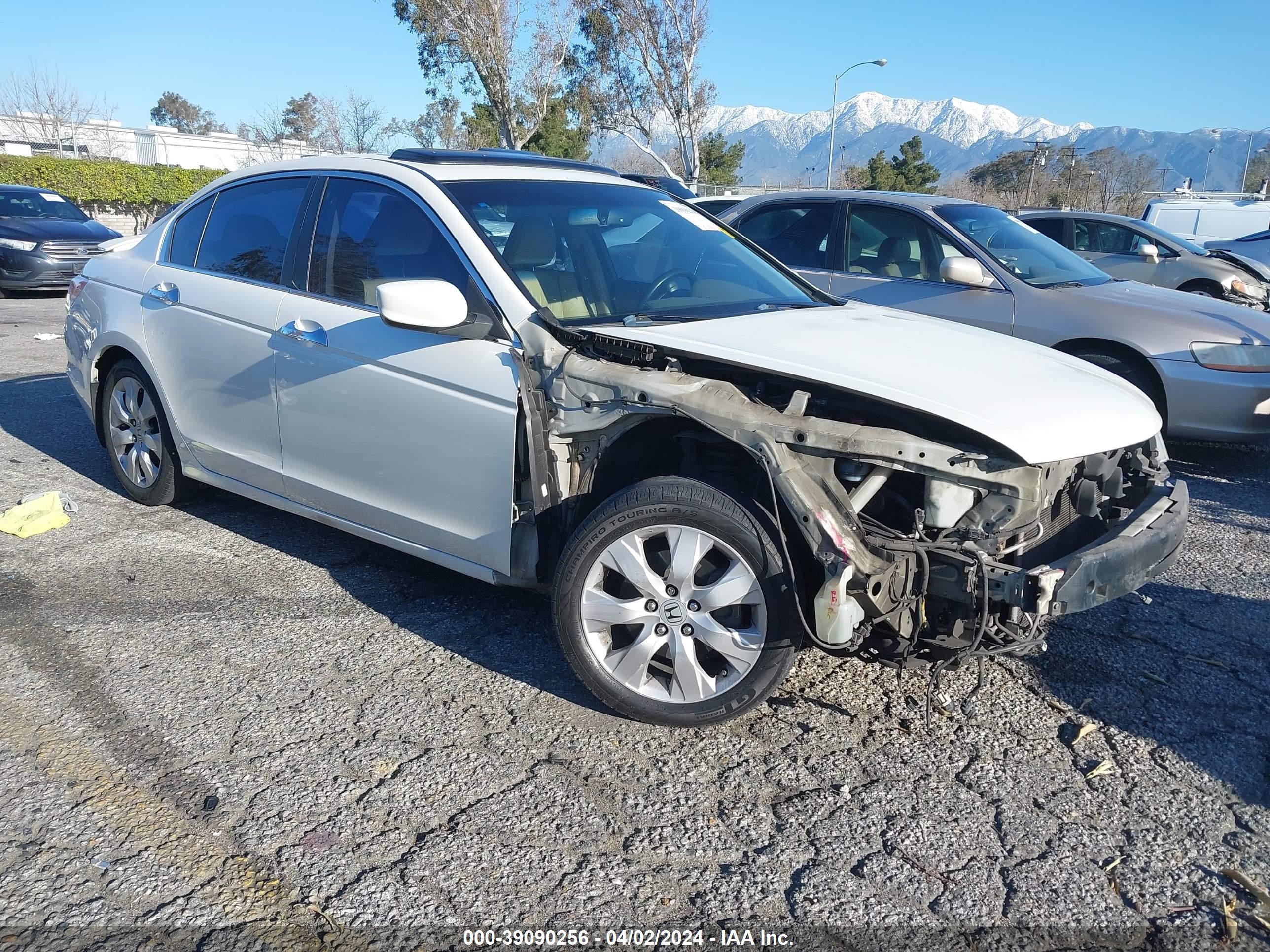 HONDA ACCORD 2010 1hgcp3f81aa011660