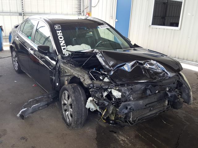 HONDA ACCORD EXL 2010 1hgcp3f81aa013280