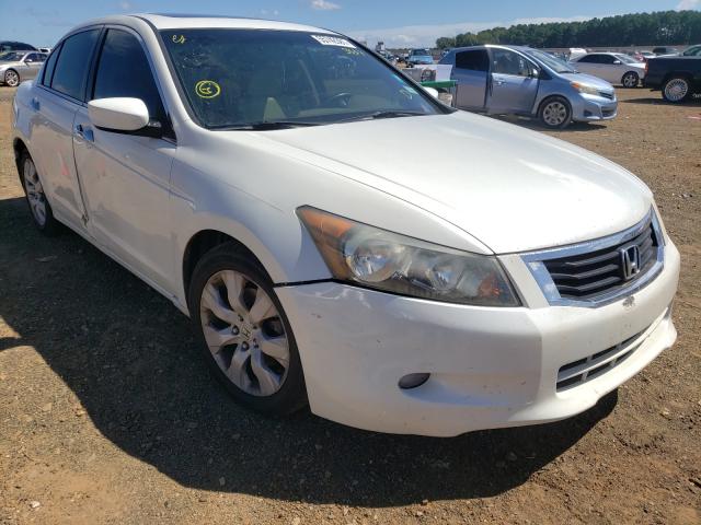 HONDA ACCORD EXL 2010 1hgcp3f81aa013537