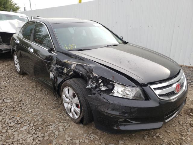 HONDA ACCORD EXL 2010 1hgcp3f81aa015210