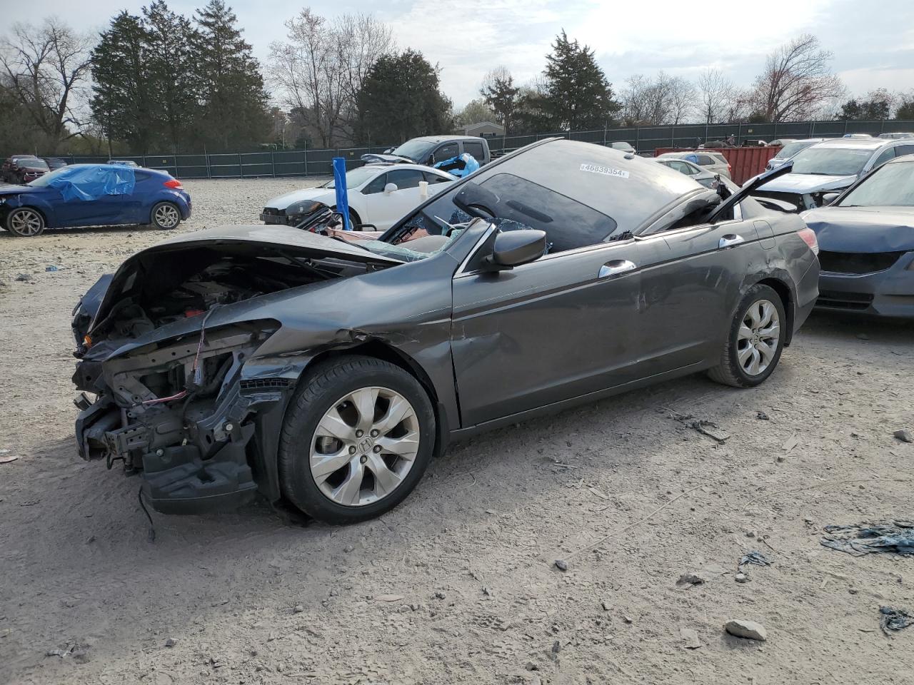 HONDA ACCORD 2010 1hgcp3f81aa015451