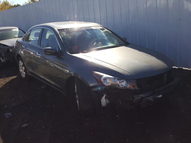 HONDA ACCORD EXL 2010 1hgcp3f81aa016535