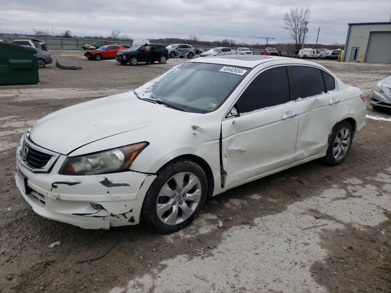 HONDA ACCORD 2010 1hgcp3f81aa017037