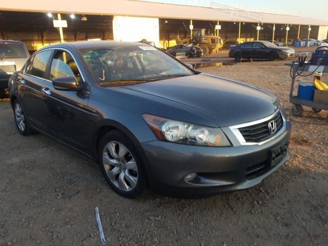 HONDA ACCORD EXL 2010 1hgcp3f81aa018141