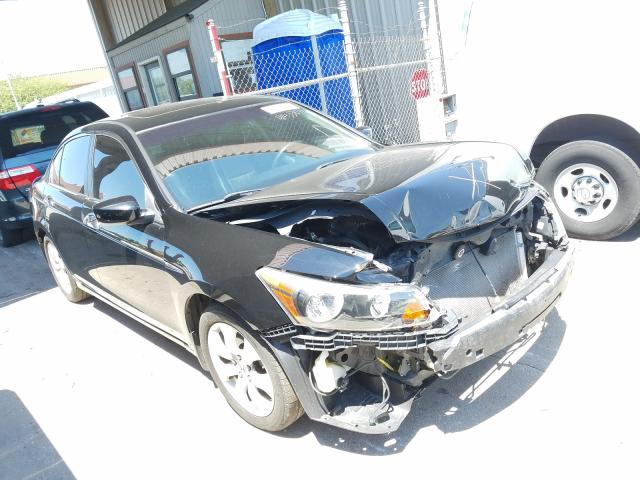 HONDA ACCORD EXL 2010 1hgcp3f81aa019760