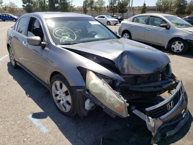 HONDA ACCORD EXL 2010 1hgcp3f81aa021718