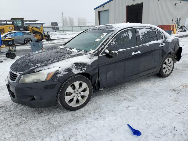 HONDA ACCORD EXL 2010 1hgcp3f81aa024456