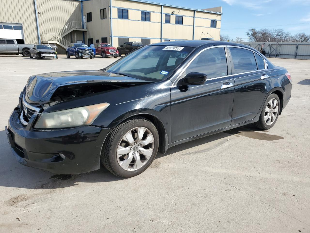 HONDA ACCORD 2010 1hgcp3f81aa026515