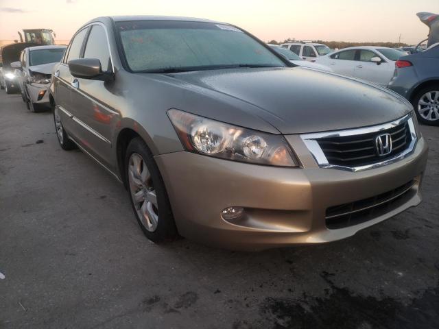 HONDA ACCORD EXL 2010 1hgcp3f81aa026658