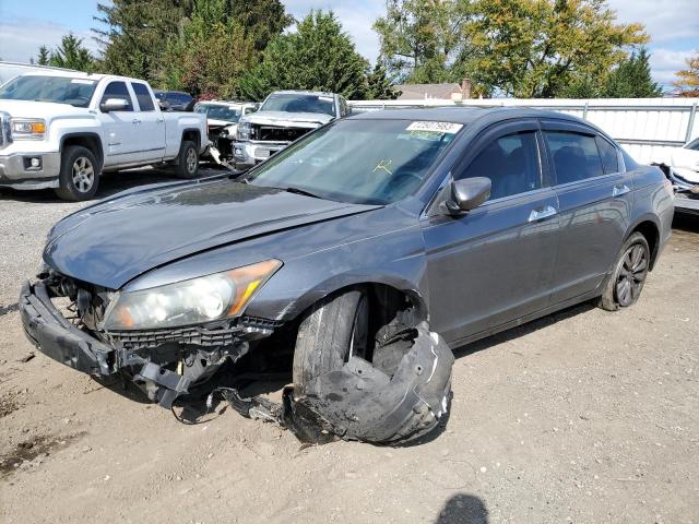 HONDA ACCORD 2011 1hgcp3f81ba000174