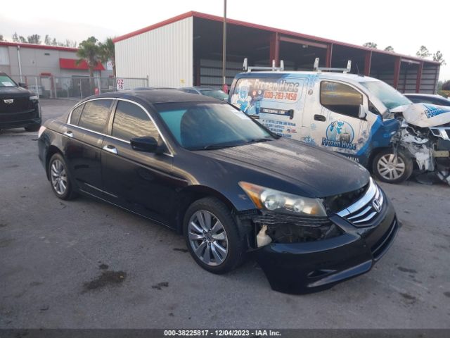 HONDA ACCORD 2011 1hgcp3f81ba002426