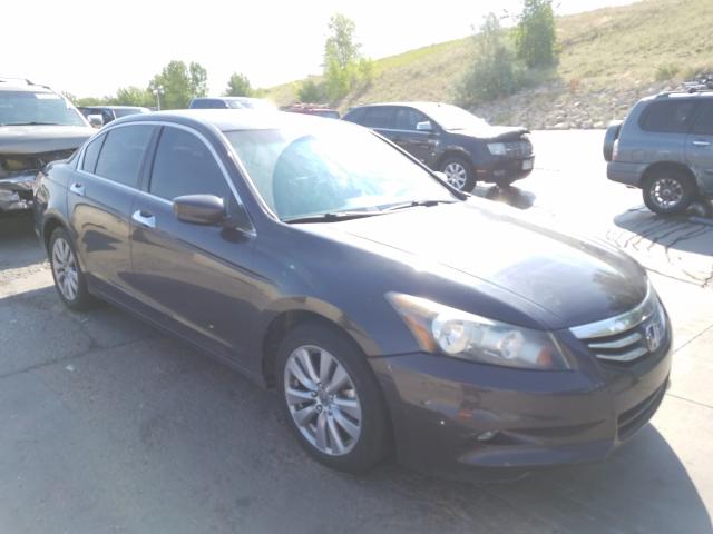 HONDA ACCORD EXL 2011 1hgcp3f81ba003849