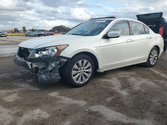 HONDA ACCORD 2011 1hgcp3f81ba004113