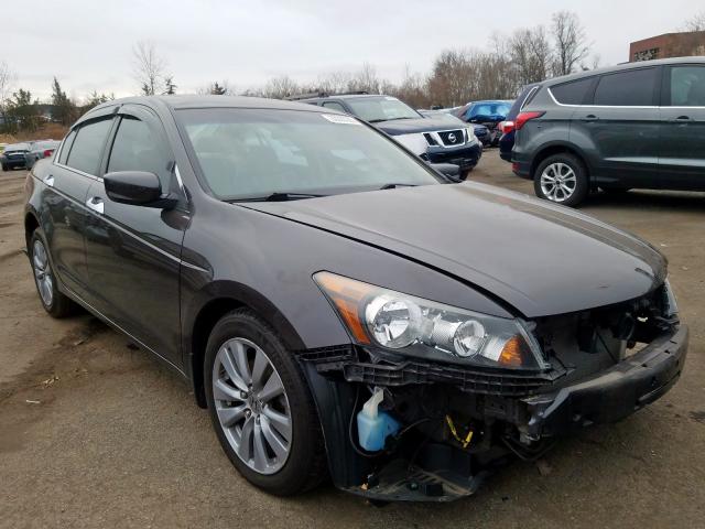 HONDA ACCORD EXL 2011 1hgcp3f81ba007027