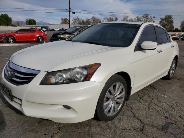 HONDA ACCORD EXL 2011 1hgcp3f81ba007075