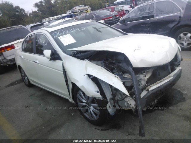 HONDA ACCORD SDN 2011 1hgcp3f81ba008050