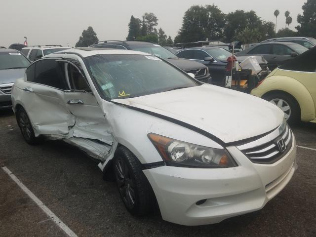 HONDA ACCORD EXL 2011 1hgcp3f81ba008520